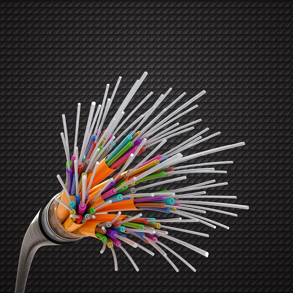 Fibra ottica e rete